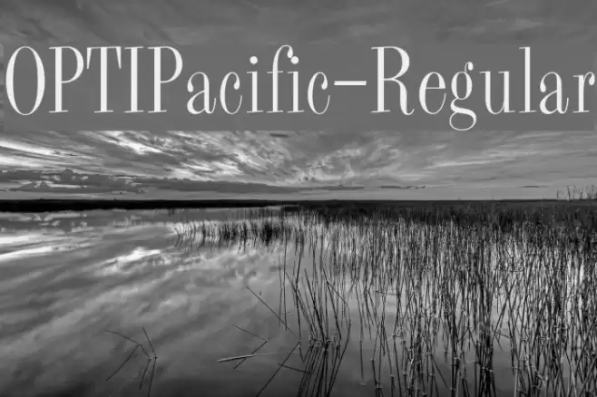 OPTIPacific-Regular Font examples