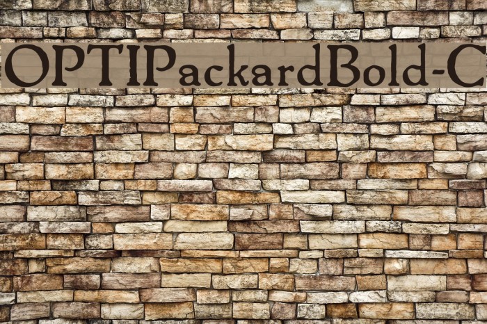 OPTIPackardBold-C Example 1