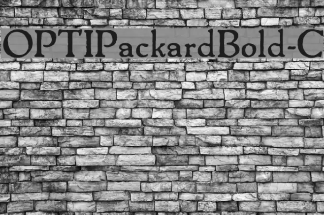 OPTIPackardBold-C  examples