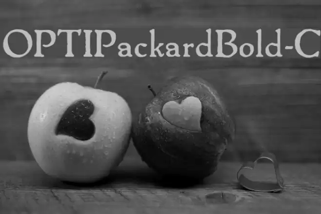OPTIPackardBold-C  examples