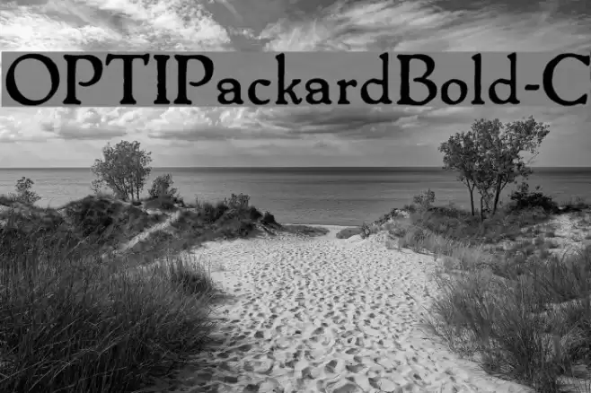 OPTIPackardBold-C  examples