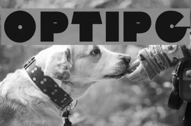 OPTIPalisadeGraphic Font examples