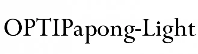 OPTIPapong-Light 