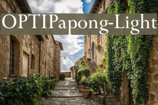 OPTIPapong-Light Example 1