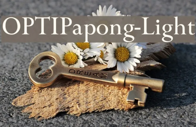 OPTIPapong-Light Example 2