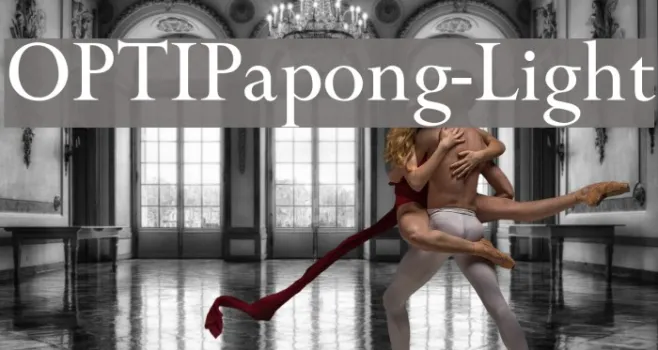 OPTIPapong-Light Example 3