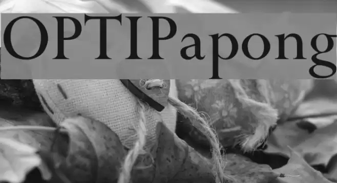OPTIPapong Font examples
