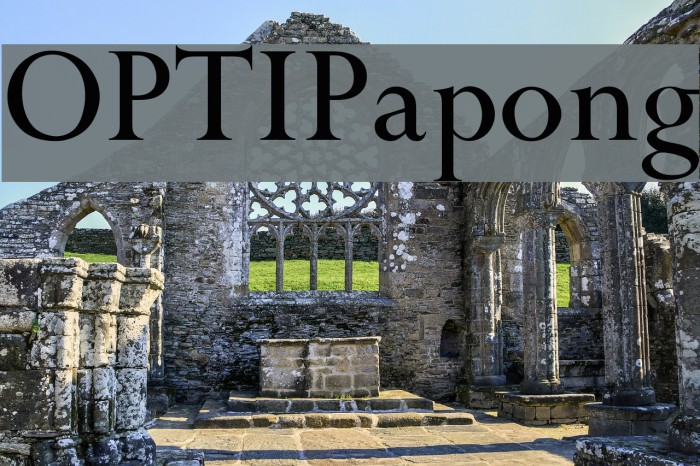 OPTIPapong Fuentes examples