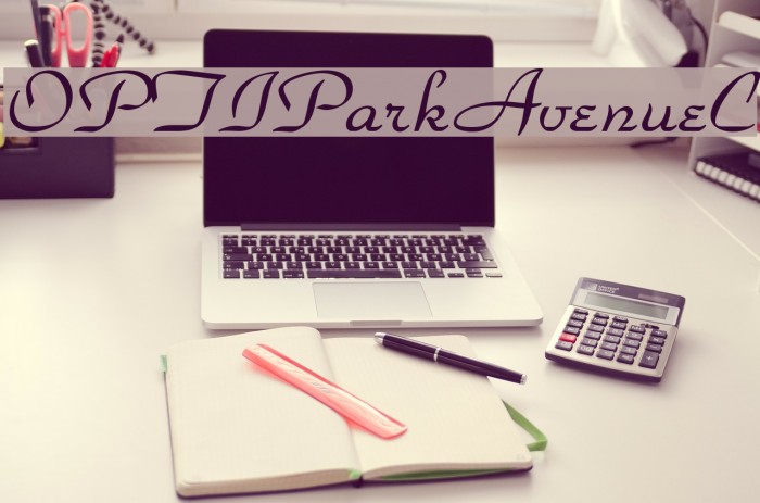 OPTIParkAvenueC Font examples
