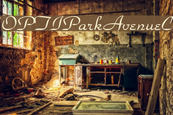 OPTIParkAvenueC Font examples