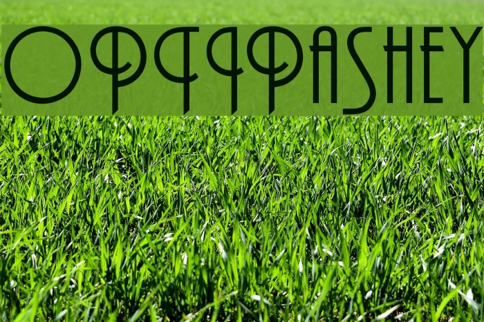 OPTIPashey Font examples
