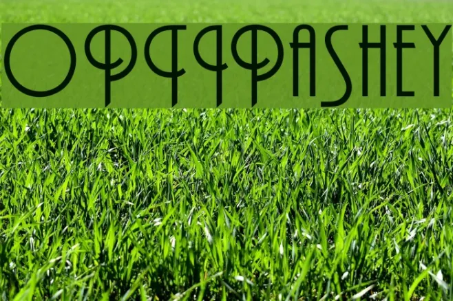 OPTIPashey Example 1