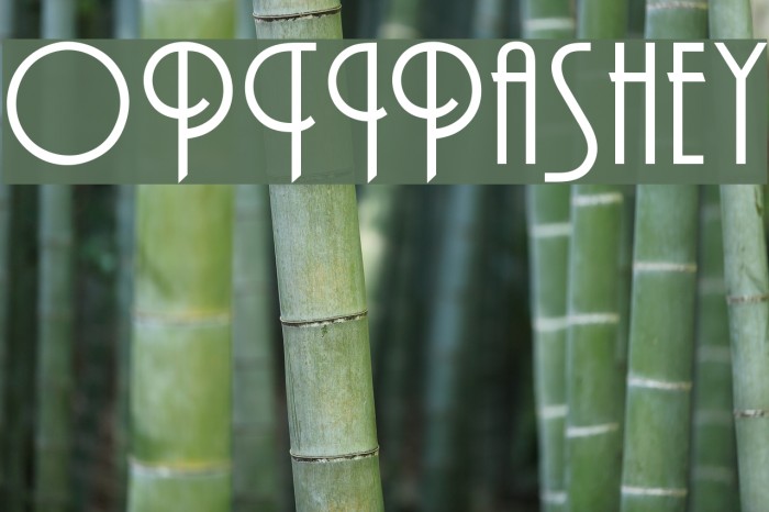 OPTIPashey Font examples
