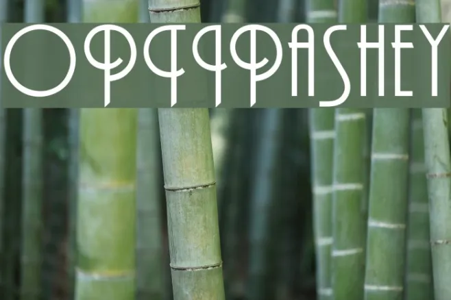 OPTIPashey Example 3