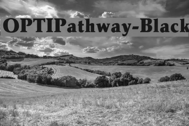 OPTIPathway-Black Font examples