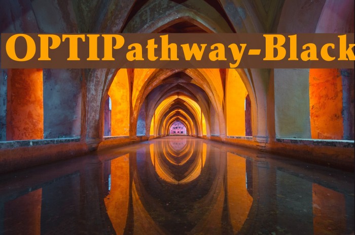 OPTIPathway-Black Font examples