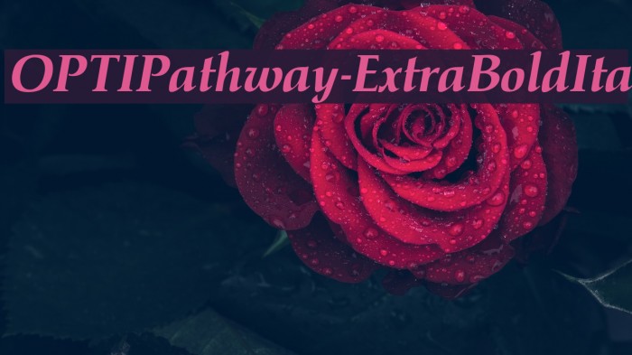 OPTIPathway-ExtraBoldIta Font examples