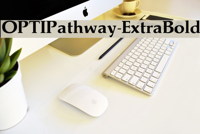 OPTIPathway-ExtraBold Example 1
