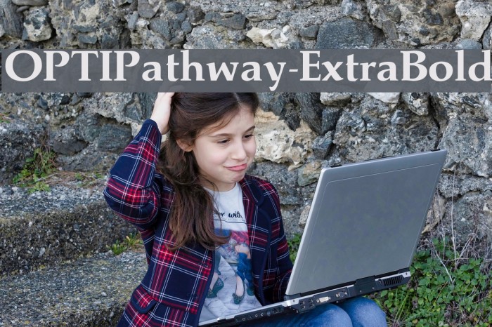 OPTIPathway-ExtraBold Example 2