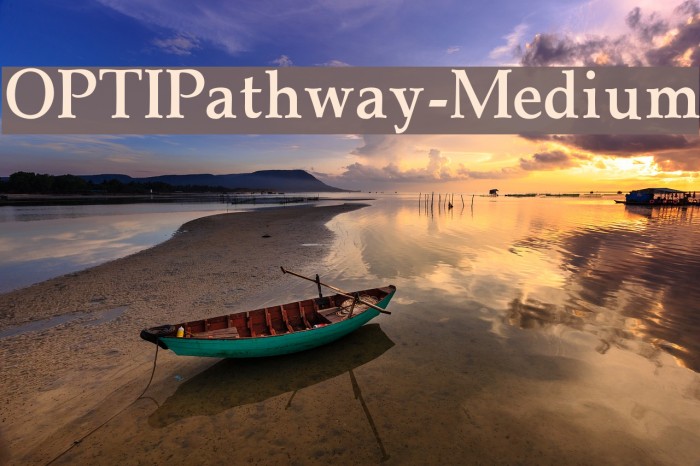 OPTIPathway-Medium Font examples