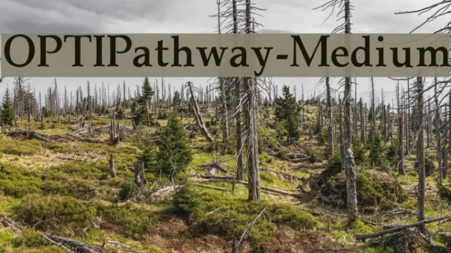 OPTIPathway-Medium Example 2