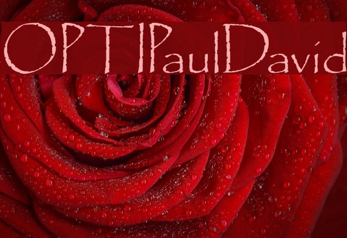 OPTIPaulDavid Font examples