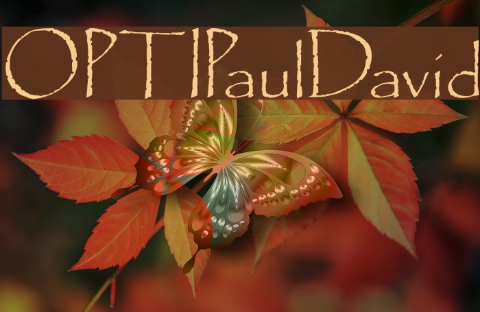 OPTIPaulDavid Font examples