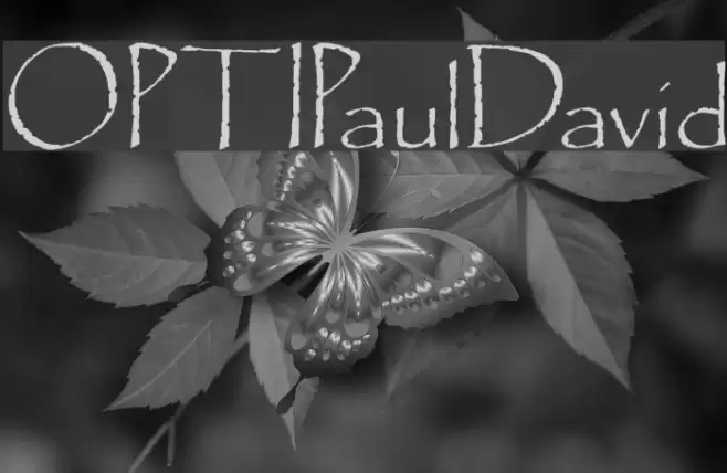 OPTIPaulDavid Font examples