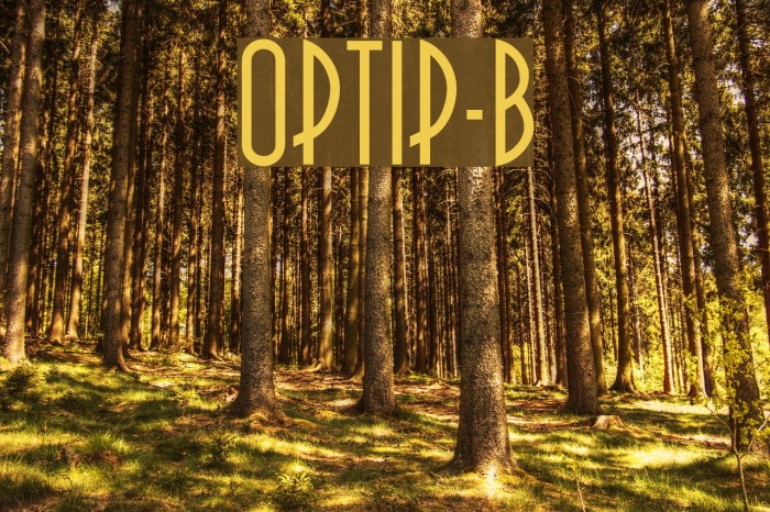OPTIPauling-Black Font examples