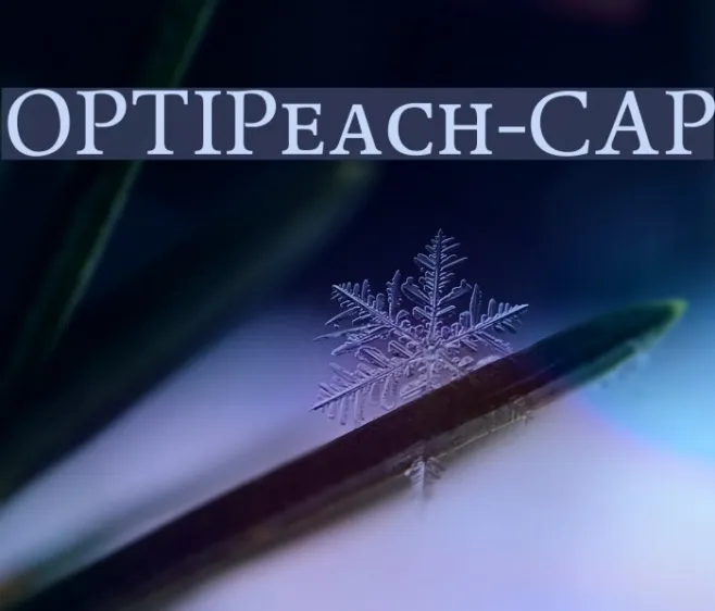 OPTIPeach-CAP Example 1
