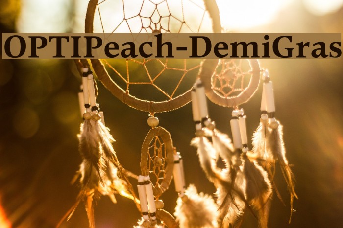 OPTIPeach-DemiGras Font examples