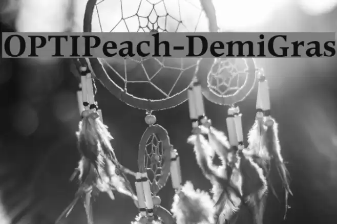 OPTIPeach-DemiGras Font examples