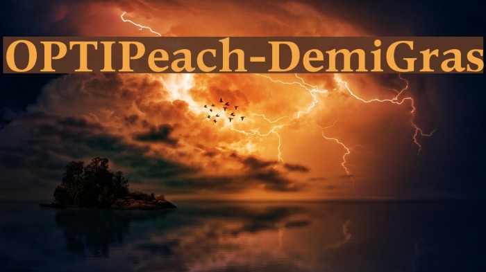 OPTIPeach-DemiGras Font examples