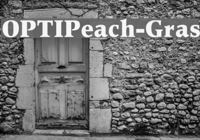 OPTIPeach-Gras Font examples