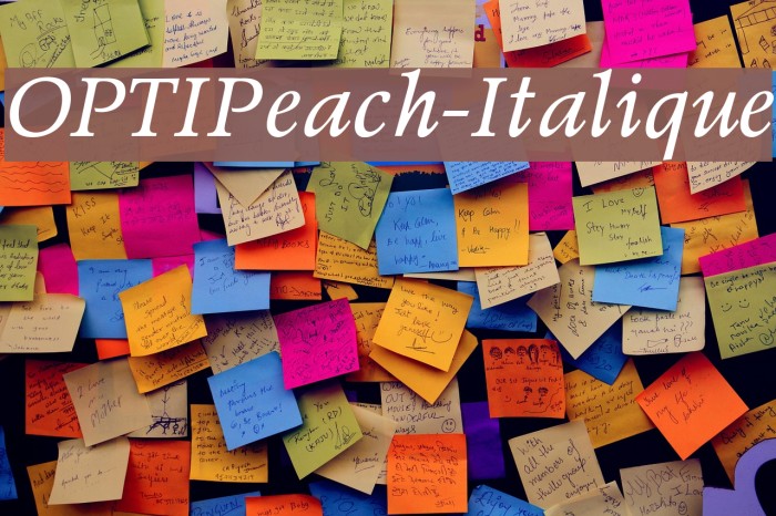 OPTIPeach-Italique Font examples
