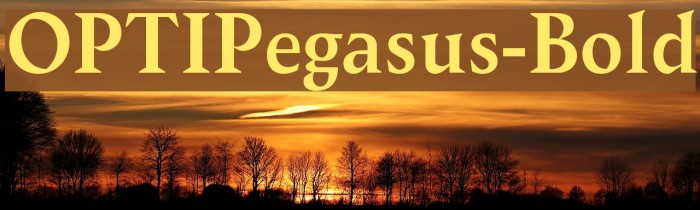 OPTIPegasus-Bold Font examples