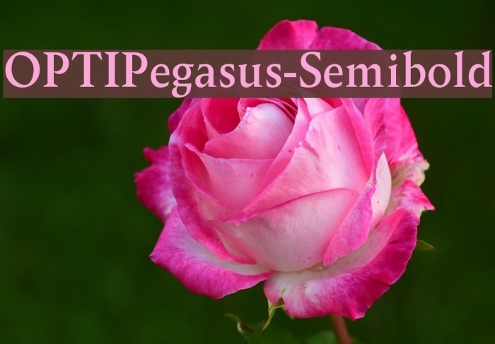 OPTIPegasus-Semibold Font examples