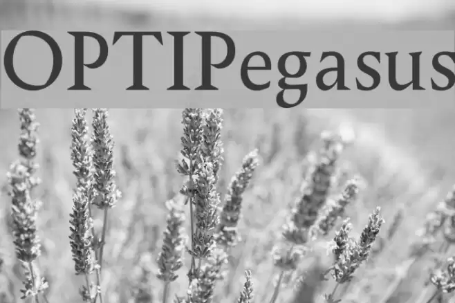 OPTIPegasus Font examples