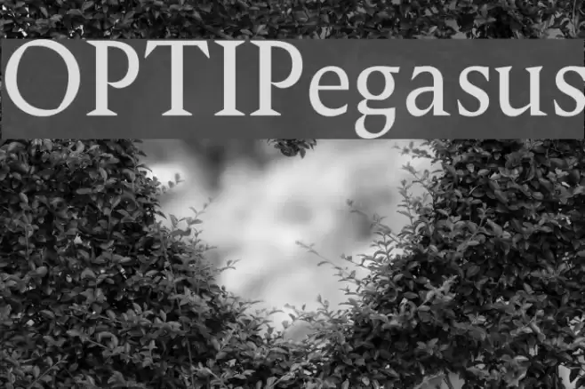 OPTIPegasus Font examples