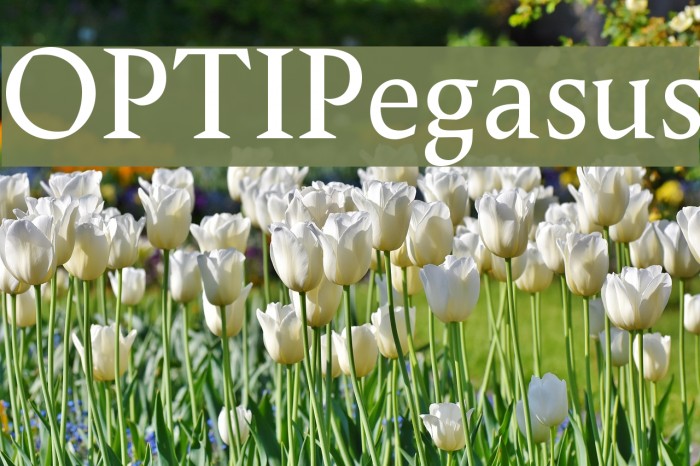 OPTIPegasus Font examples