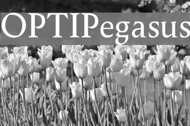 OPTIPegasus Font examples