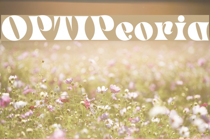 OPTIPeoria Example 2