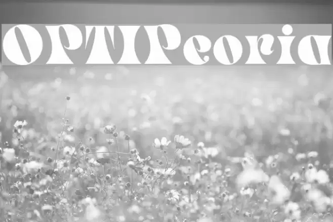 OPTIPeoria Font examples
