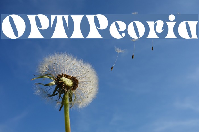 OPTIPeoria Example 3