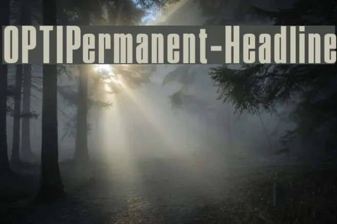 OPTIPermanent-Headline Example 1