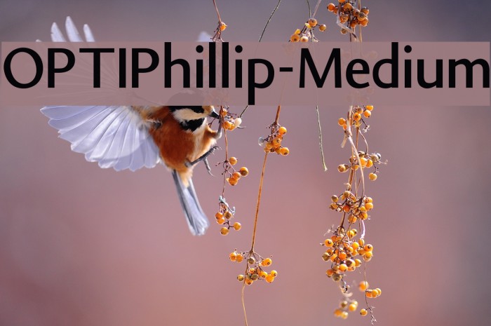 OPTIPhillip-Medium Font examples
