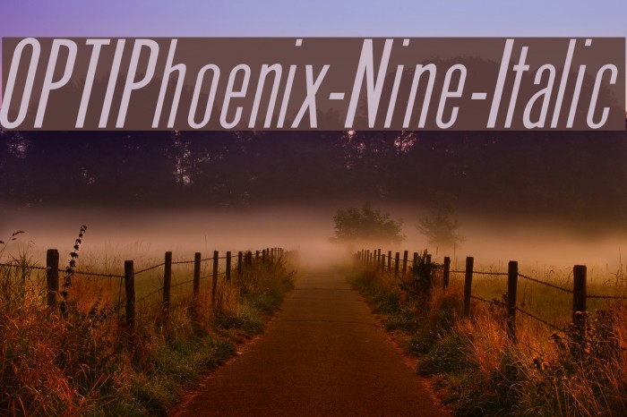 OPTIPhoenix-Nine-Italic Font examples