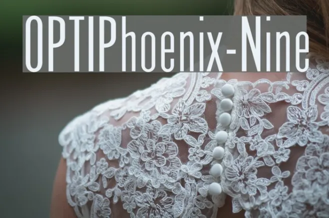 OPTIPhoenix-Nine Example 1