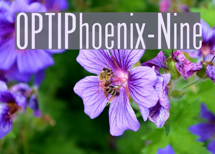 OPTIPhoenix-Nine Font examples