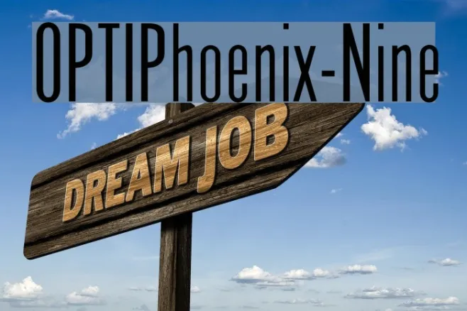 OPTIPhoenix-Nine Example 3